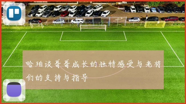 哈珀谈哥哥成长的独特感受与老将们的支持与指导