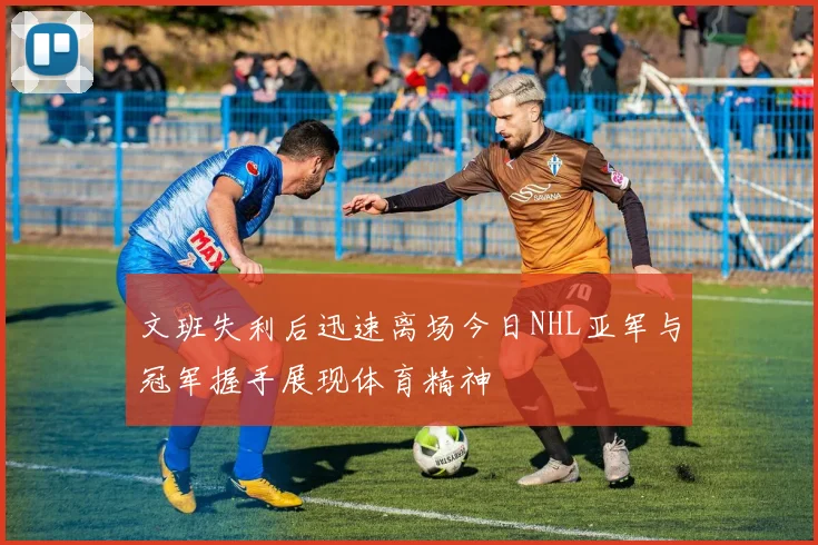 文班失利后迅速离场今日NHL亚军与冠军握手展现体育精神
