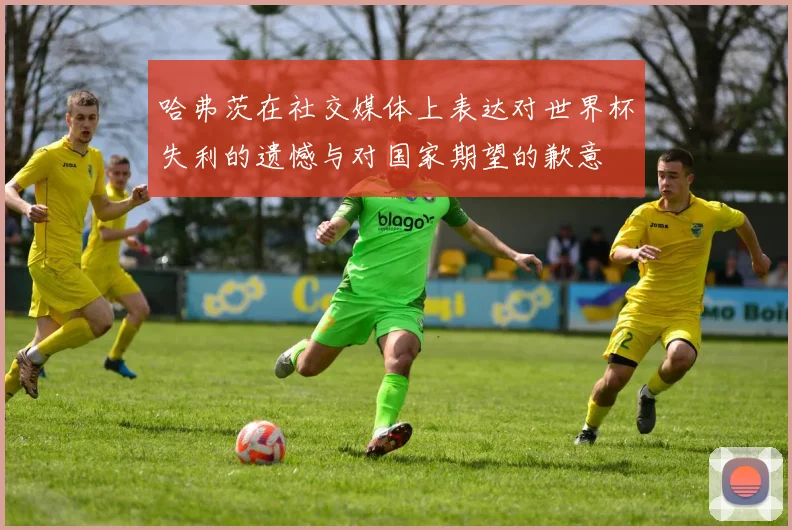 哈弗茨在社交媒体上表达对世界杯失利的遗憾与对国家期望的歉意